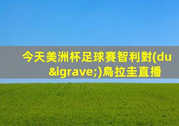 今天美洲杯足球賽智利對(duì)烏拉圭直播