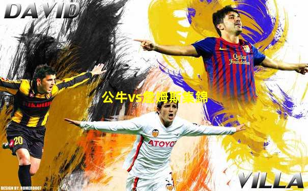 公牛vs詹姆斯集錦