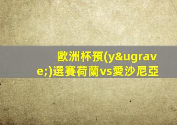 歐洲杯預(yù)選賽荷蘭vs愛沙尼亞